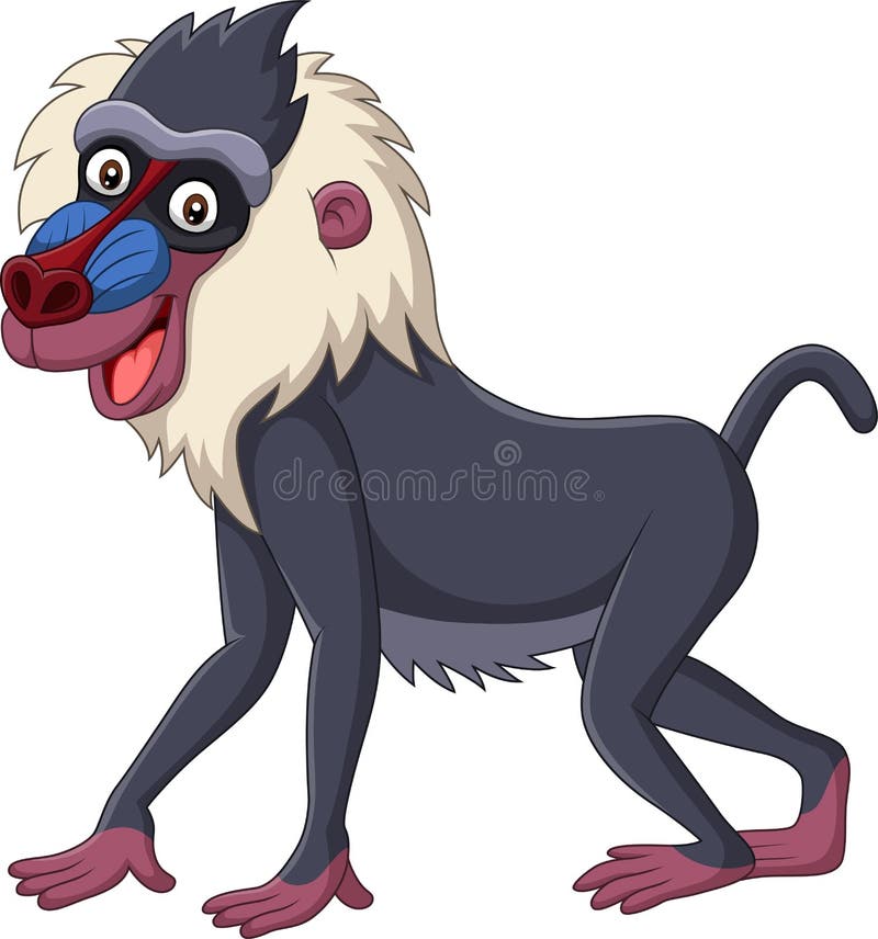 Baboon κινούμενων σχεδίων mandrill που απομονώνεται στο άσπρο υπόβαθρο απεικόνιση αποθεμάτων Baboon κινούμενων σχεδίων mandrill που απομονώνεται στο άσπρο υπόβαθρο απεικόνιση αποθεμάτων