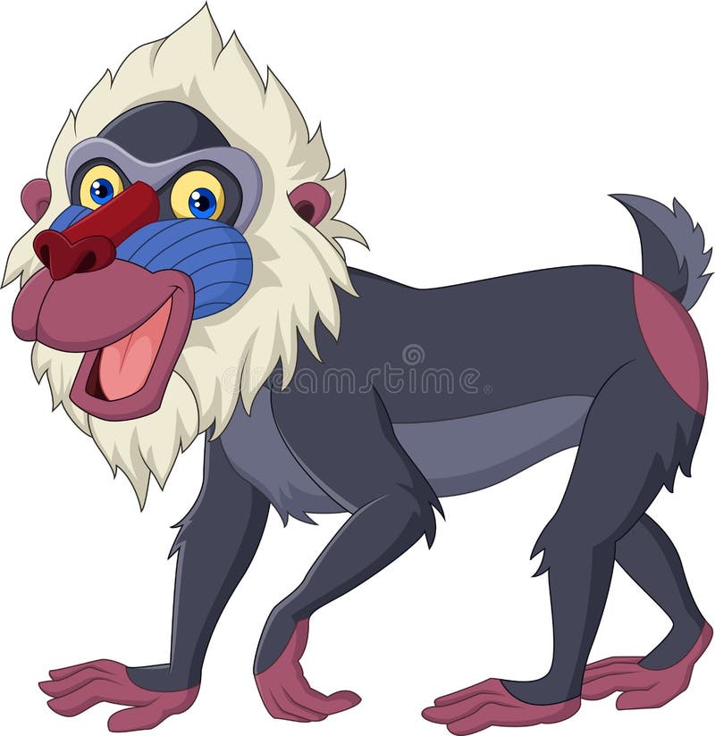 Baboon κινούμενων σχεδίων mandrill που απομονώνεται στο άσπρο υπόβαθρο διανυσματική απεικόνιση Baboon κινούμενων σχεδίων mandrill που απομονώνεται στο άσπρο υπόβαθρο διανυσματική απεικόνιση