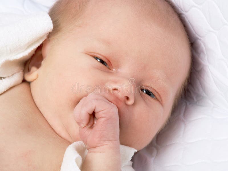 Baby royalty free stock photos