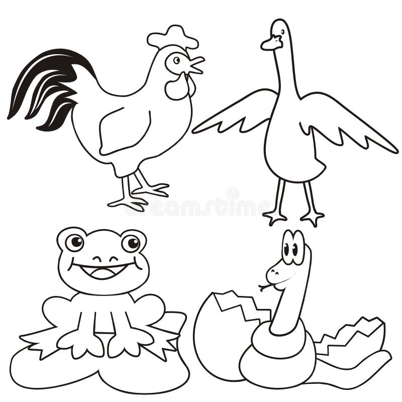 baby frog coloring pages - photo #26
