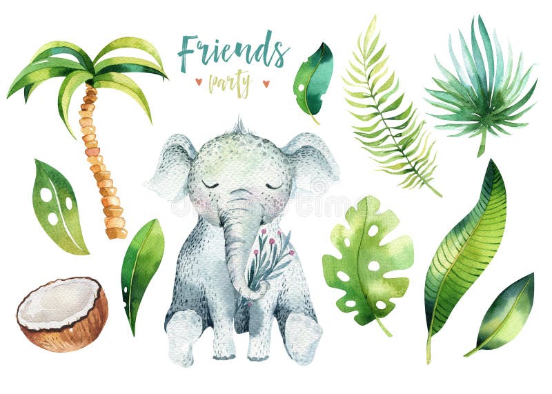 Baby animals nursery isolated illustration for children. Watercolor boho tropical drawing, child cute tropic turtle vector illustration Baby animals nursery isolated illustration for children. Watercolor boho tropical drawing, child cute tropic turtle vector illustration