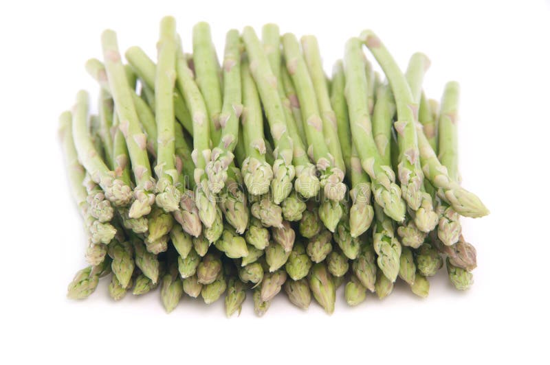 Green Asparagus stock image. Image of green, background 39401581
