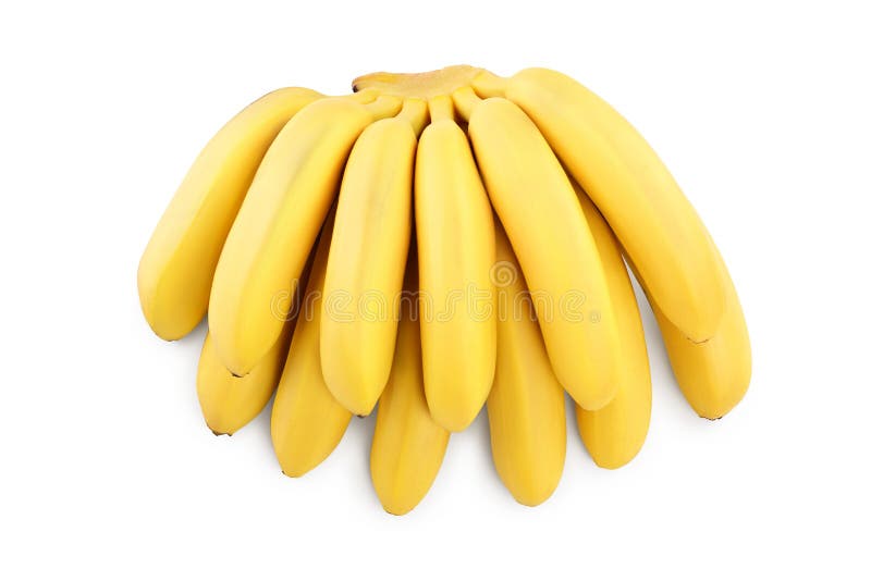 Baby Banana Bunch Isolated on White Background with Clipping Path and ...