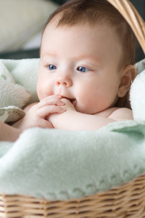 Baby in basket stock image. Image of haired, little, look 4136075