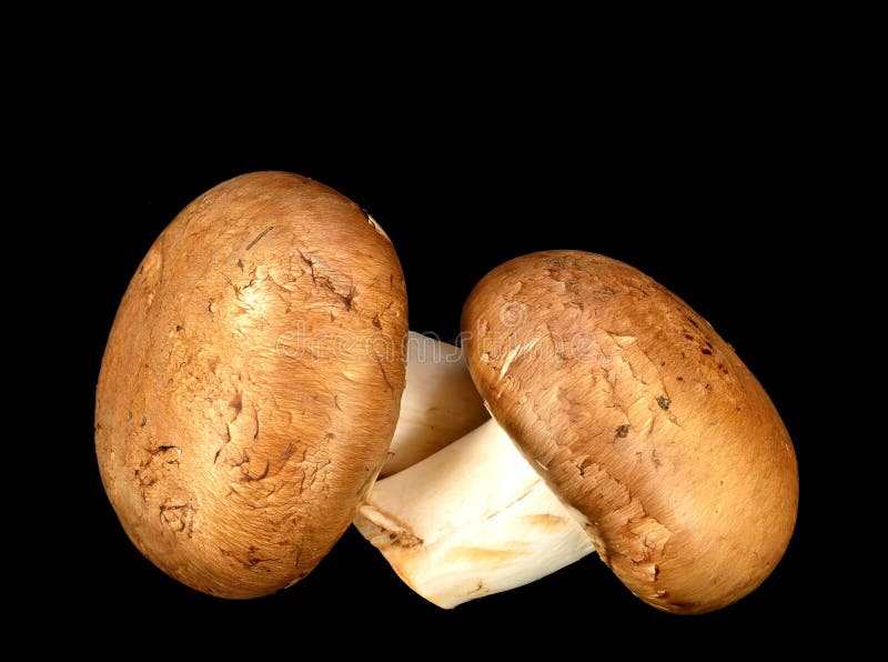 Baby Bella mushrooms stock image. Image of brown, fungus 38031031