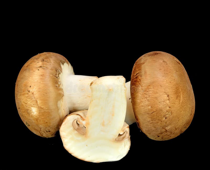 Baby Bella mushrooms stock image. Image of brown, fungus 38031031