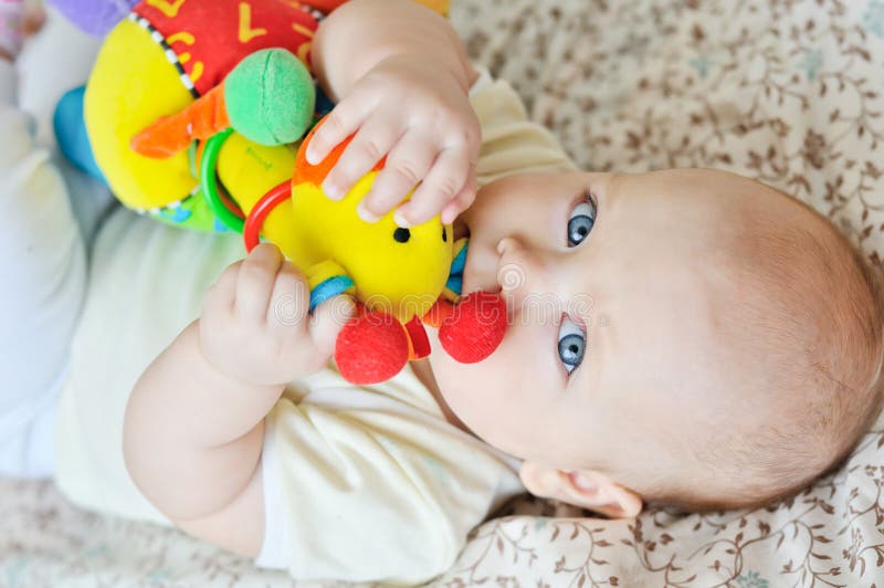 Baby biting a toy royalty free stock photography