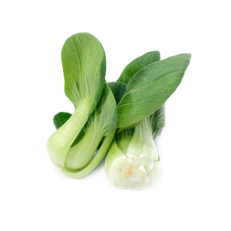 Baby Bok Choy or Pak Choi Chinese Cabbage Stock Photo Image of food, diet 129419730