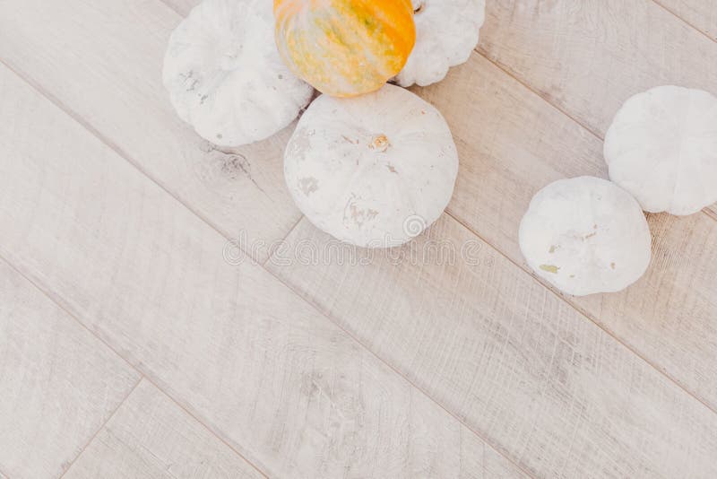 Baby boo white pumpkins on bright wooden table royalty free stock photo Baby boo white pumpkins on bright wooden table royalty free stock photo