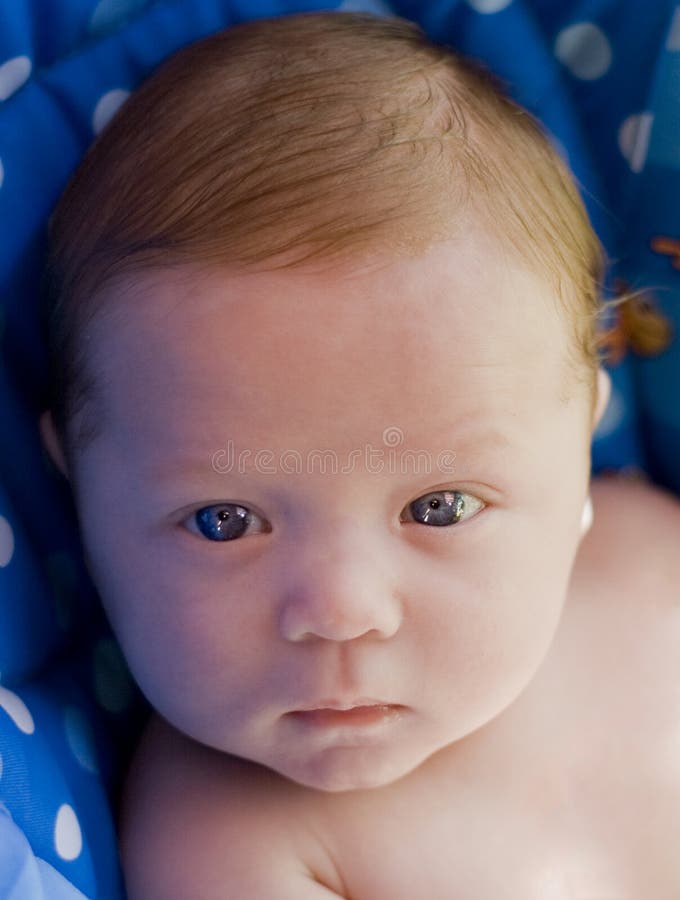 Baby Boy with Blue Eyes Looking at the Camera Stock Photo Image of