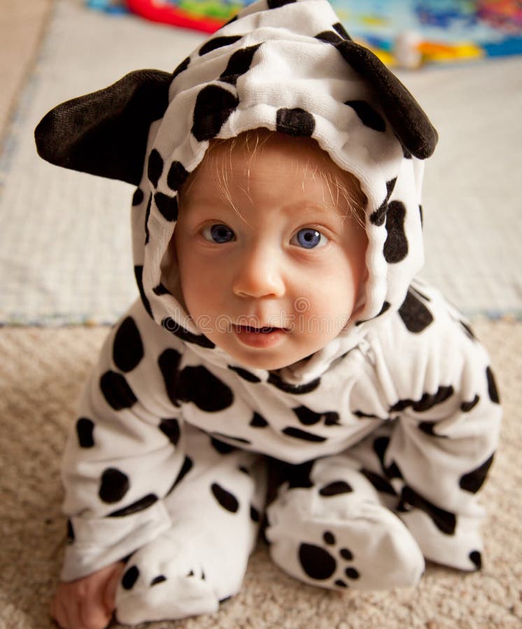 Baby Boy in Dalmatian Costume Stock Photo Image of cute, white 45472280