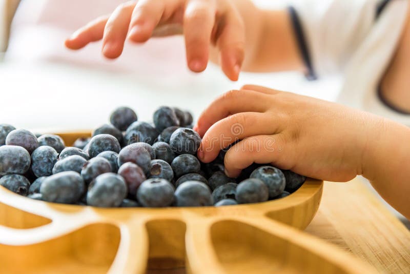 Baby boy hands touch and take raw fresh blueberries indoor. baby exploring fruit