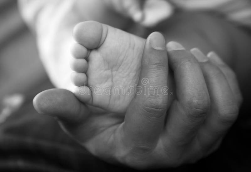Baby boy legs stock image. Image of baby, model, family 7491495