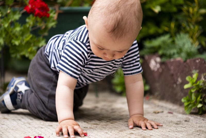 Boy Playing Yard Stock Photos - Download 4,967 Royalty Free Photos