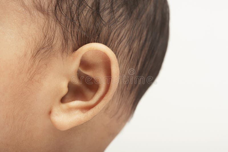 Baby S Ear Stock Image Image Of Head Child Facial Lobe 6489817 baby-s-ear-stock-image-image-of-head-child-facial-lobe-6489817