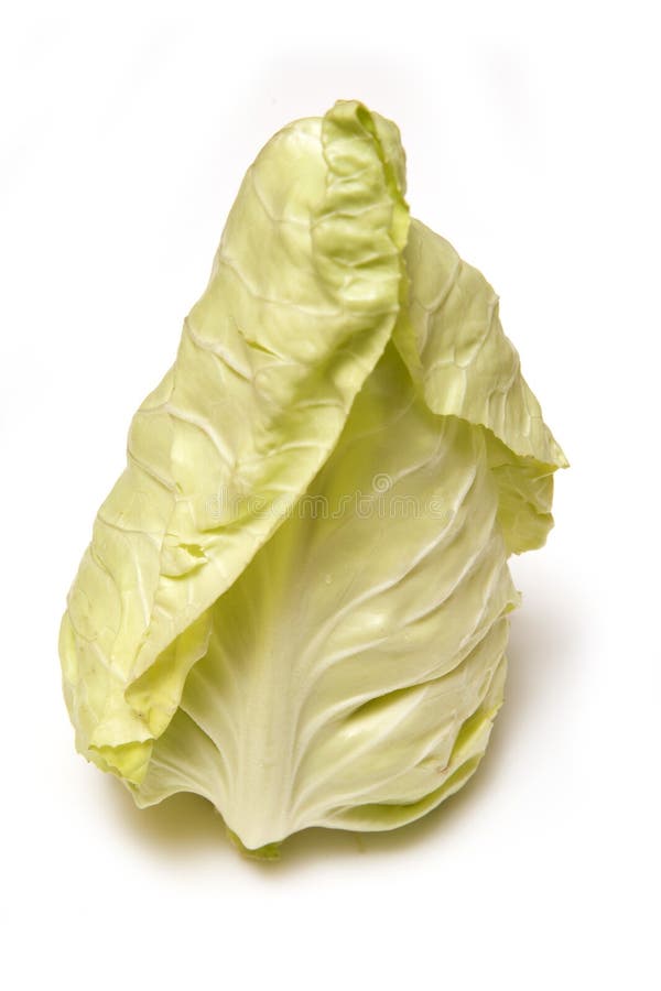 Baby with cabbage stock image. Image of fresh, little 33997109