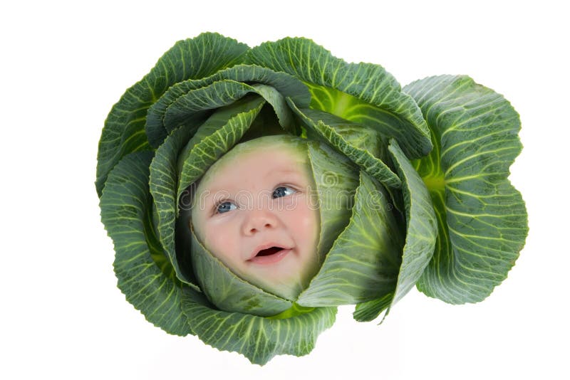Baby among cabbage leaves stock image. Image of food, close 8941439