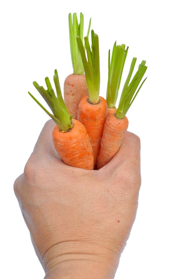 Baby carrot stock photo. Image of healthy, farm, color 38242084