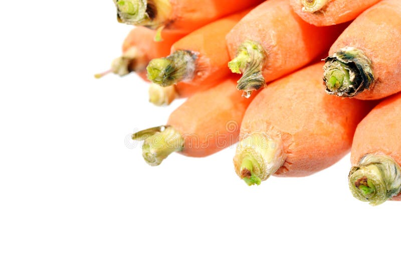 523 Baby Carrots Macro Stock Photos Free & RoyaltyFree Stock Photos