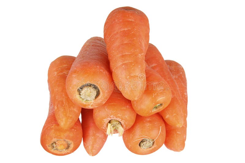 Baby Carrots in Bowl stock image. Image of fibre, organic 36382041