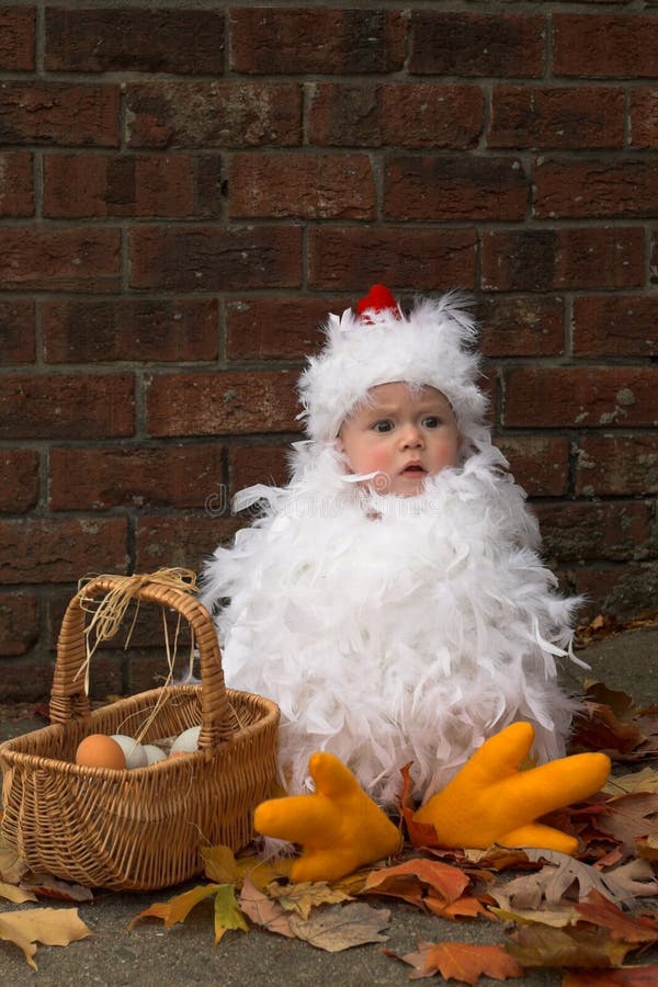 Baby Chick stock photo. Image of halloween, eggs, costume 1930616