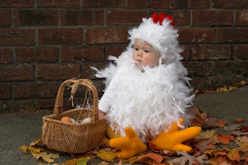 Baby Chick stock photo. Image of halloween, eggs, costume 1930616