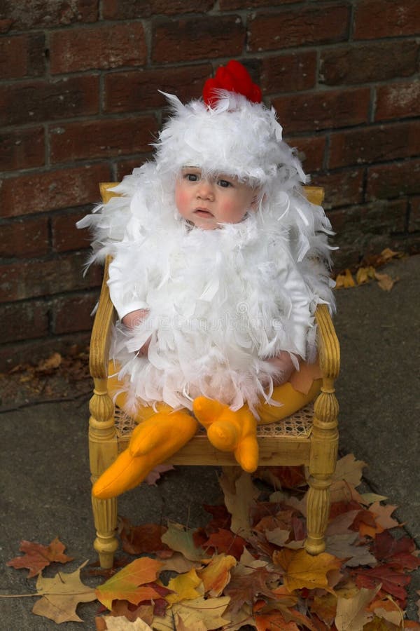 Baby Chick stock photo. Image of halloween, eggs, costume 1930616