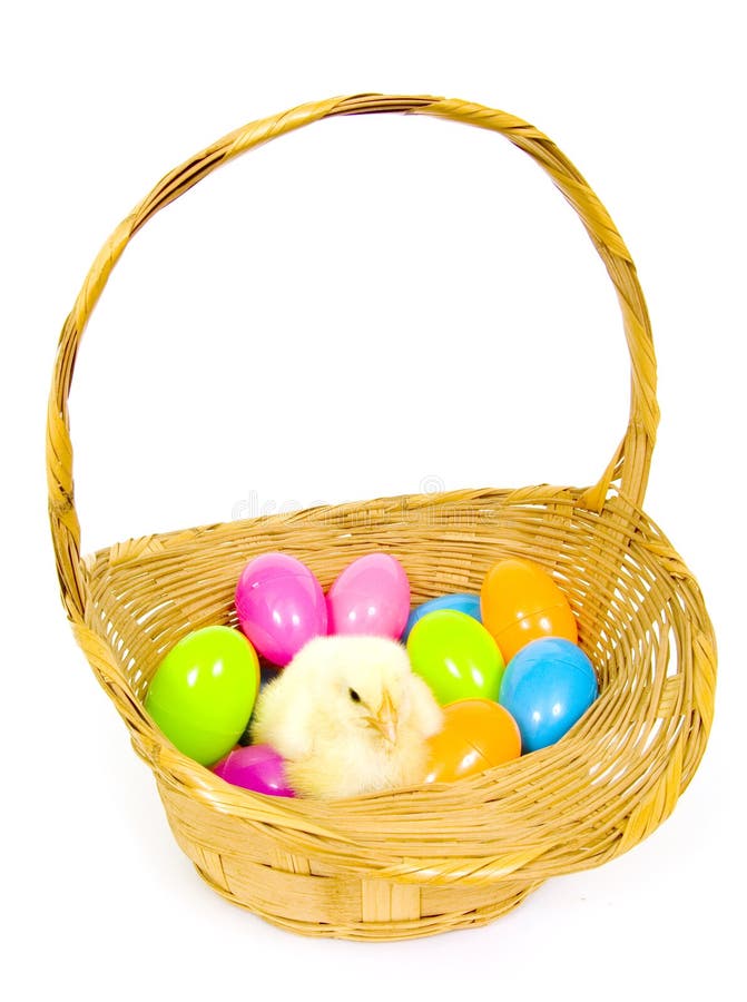 Baby chick in a basket with plastic Easter eggs