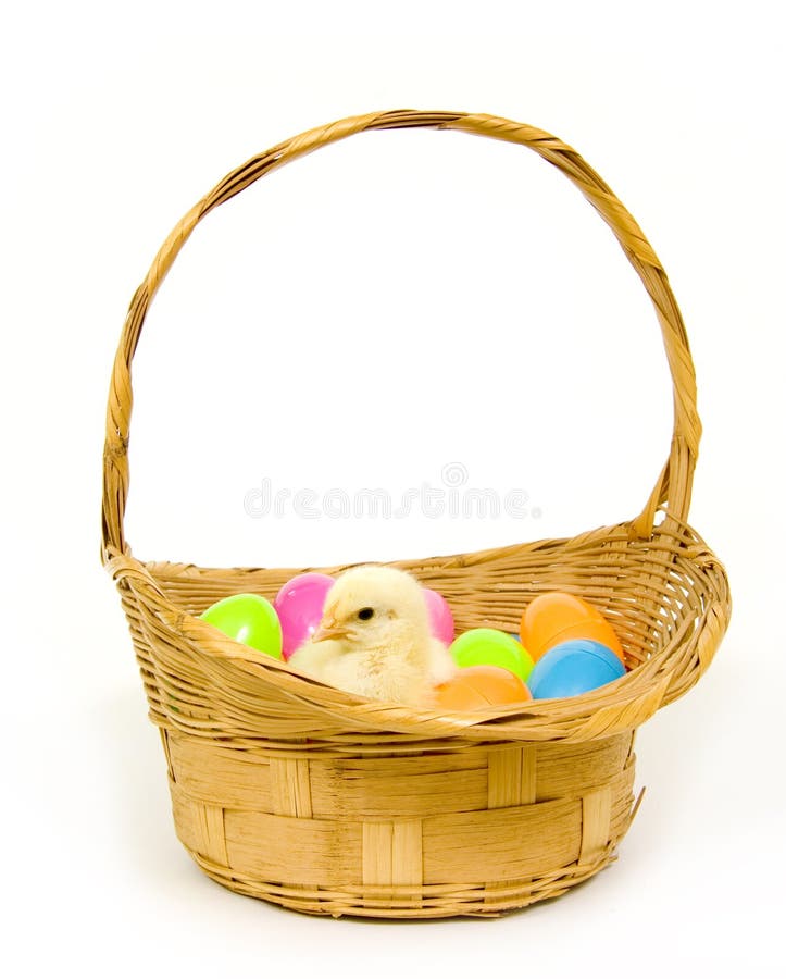 Baby chick in a basket with plastic Easter eggs