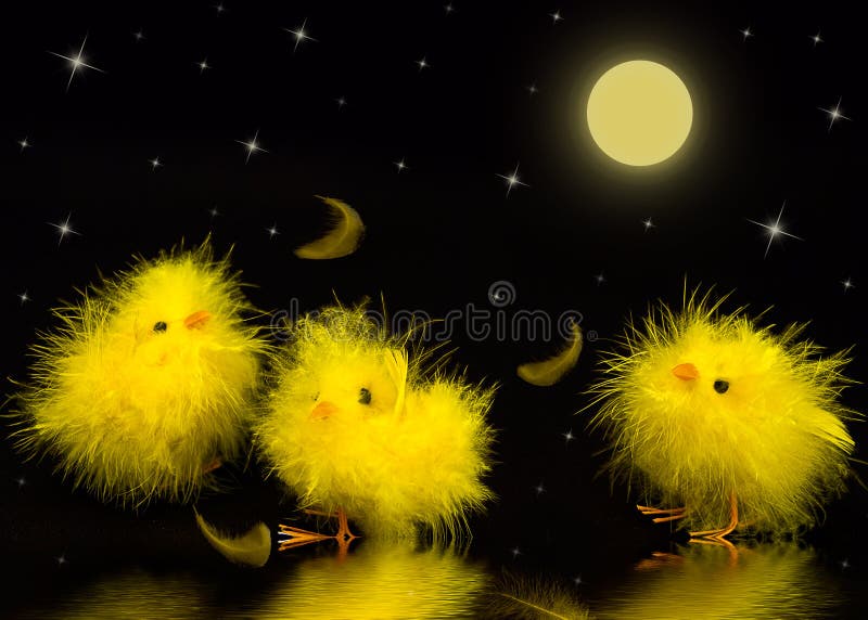 Baby Chicks Night stock illustration. Illustration of stars 18644262