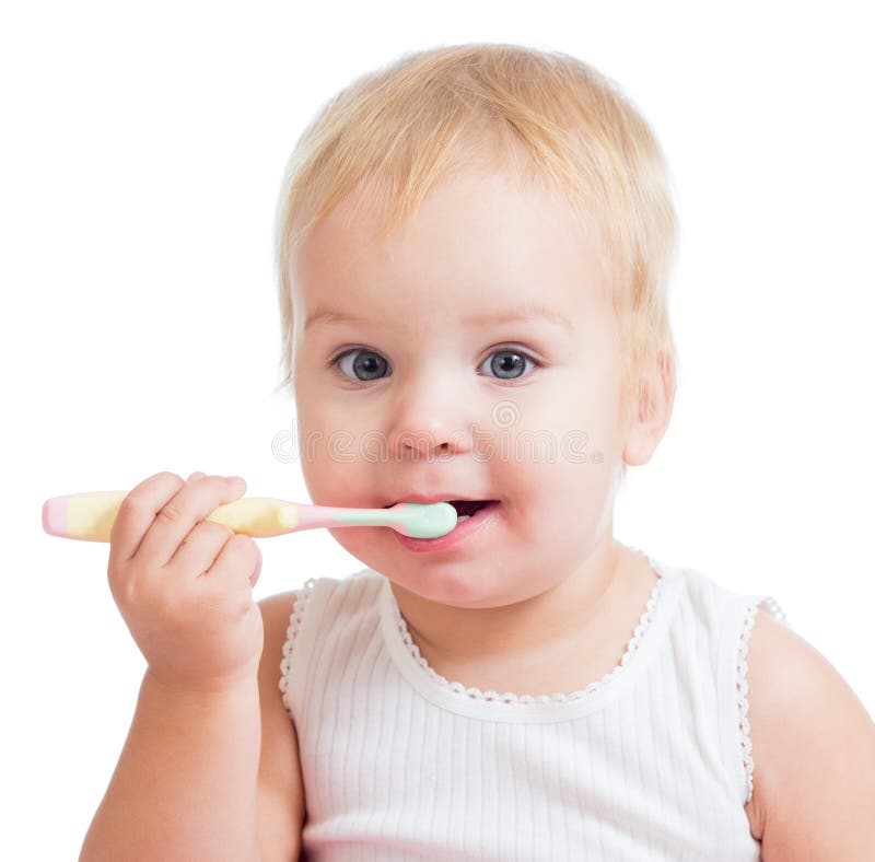 Brushing teeth stock photo. Image of isolated, teeth 25667494