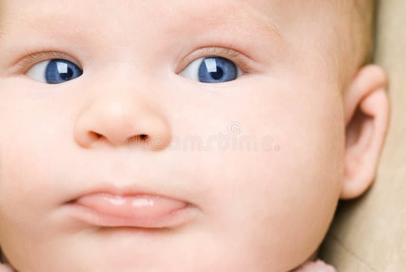 Baby Close Up Portrait Stock Photo Image Of Infant Look 5149406