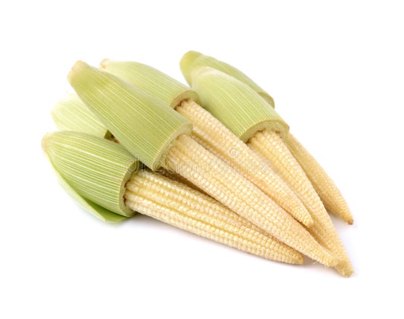Baby corn stock photo. Image of healthy, baby, vegetable 174869520