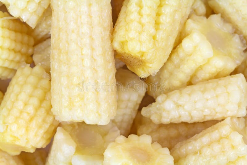 Baby Corn Nuggets Close stock photo. Image of tints, chunks 36498620