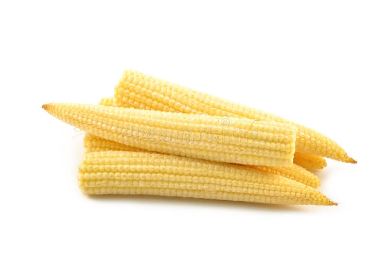 Baby corn on a white background