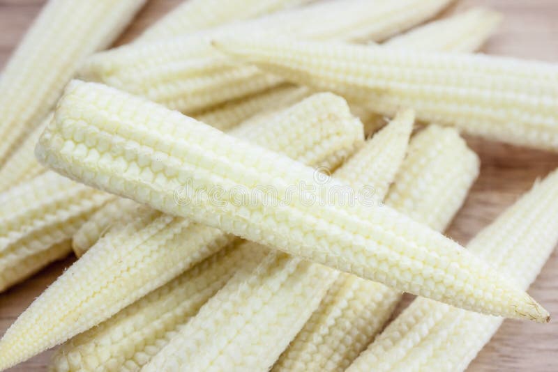 Baby corns stock photo. Image of table, vegan, lettuce 28063680