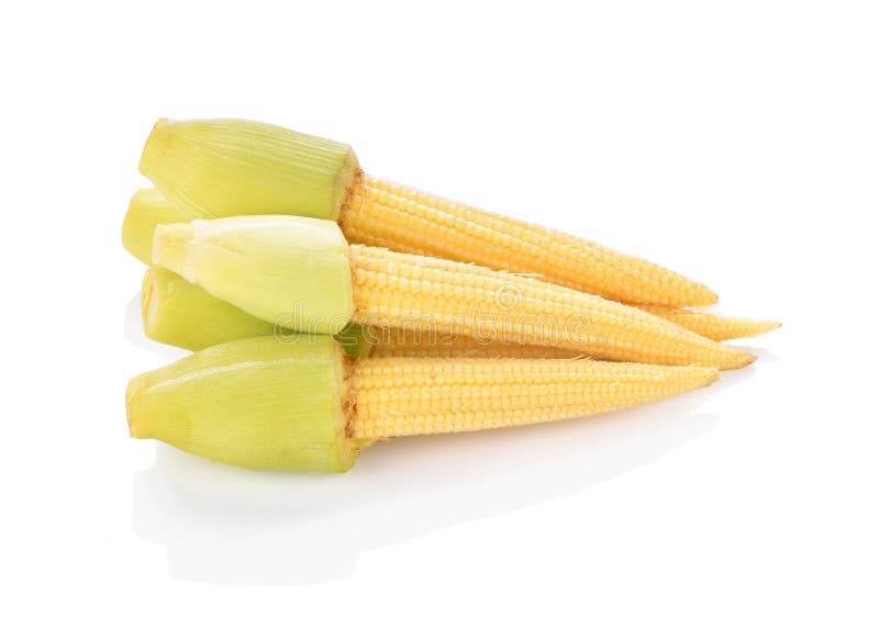 Baby corns on white background.