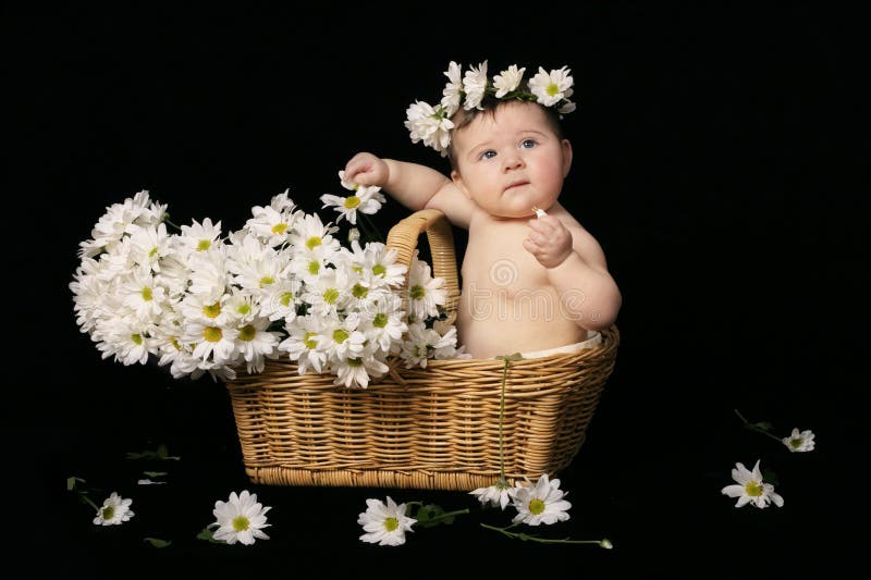 IMG of Baby In Daisies