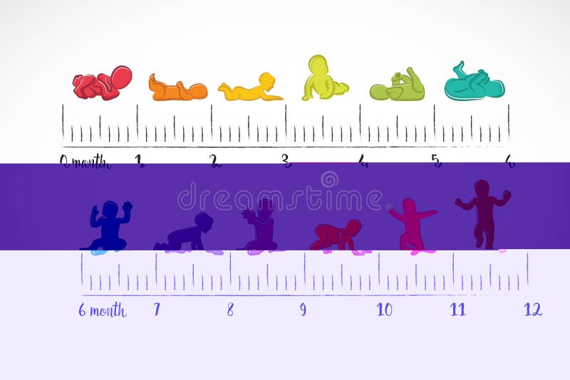 Baby Development Stages Milestones First One Year . Child milestones of first year stock illustration Baby Development Stages Milestones First One Year . Child milestones of first year stock illustration