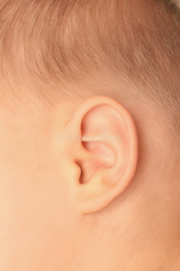 45,635 Baby Ear Stock Photos Free & RoyaltyFree Stock Photos from