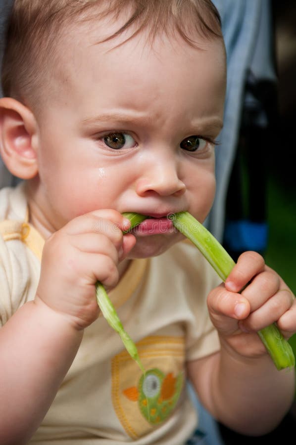 Baby eating green rhubarb