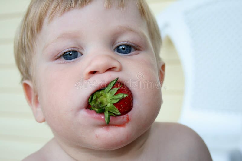 1,714 Baby Eating Strawberries Stock Photos Free & RoyaltyFree Stock