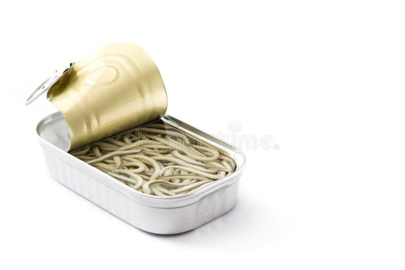 Baby Eels Isolated Stock Photos Free & RoyaltyFree Stock Photos from