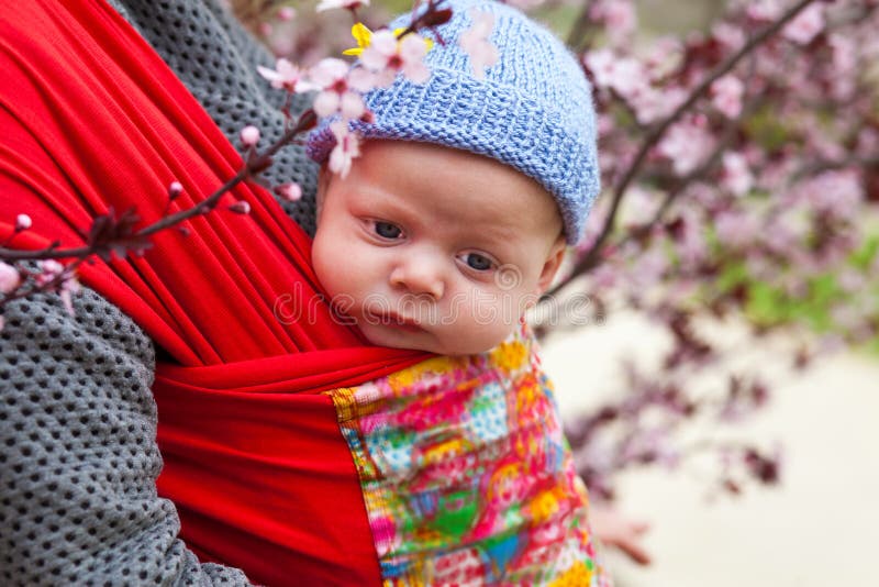 Baby in een slinger scard in de lente wordt vervoerd die stock foto Baby in een slinger scard in de lente wordt vervoerd die stock foto