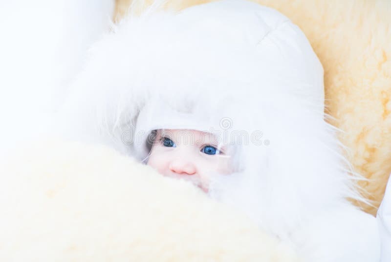 Baby in einer weißen Pelzjacke, die in einem Spaziergänger mit einem warmen Schaffellfuß - Muffe sitzt stockfoto Baby in einer weißen Pelzjacke, die in einem Spaziergänger mit einem warmen Schaffellfuß - Muffe sitzt stockfoto