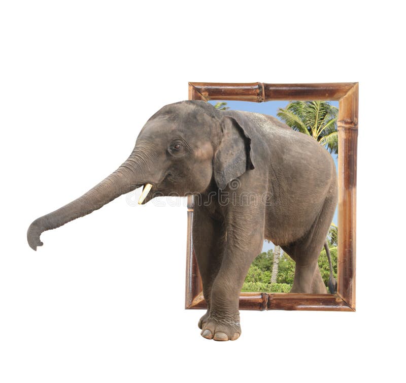 Baby Elephant In Bamboo Frame With 3d Effect Stock Photo Image of