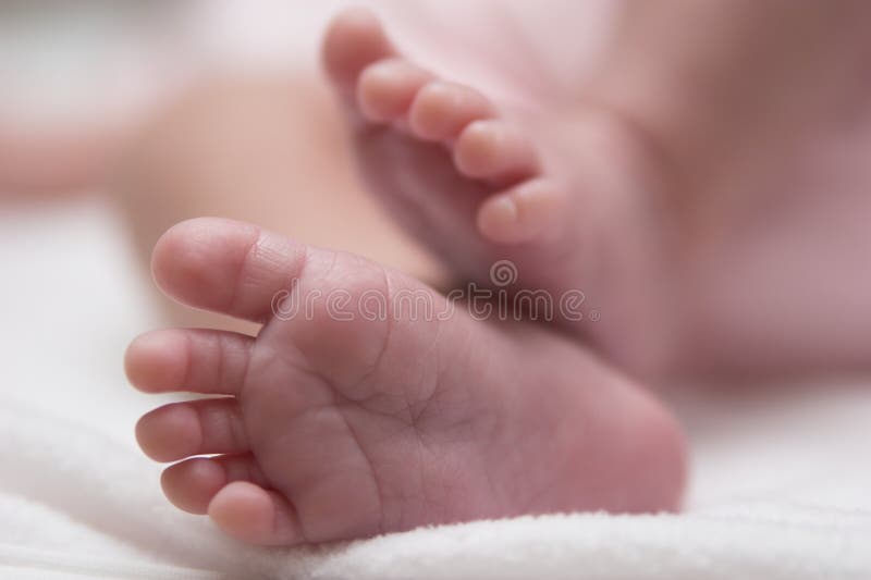 baby feet zdjęcie royalty free baby feet zdjęcie royalty free