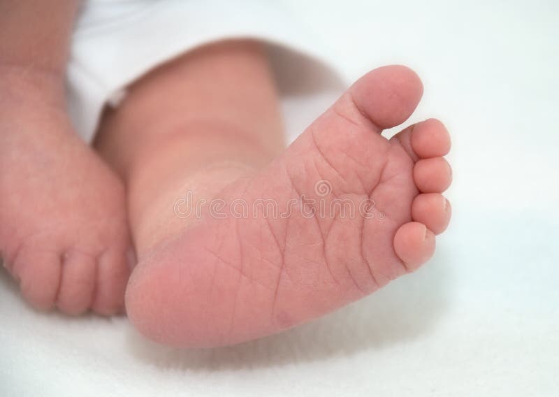 Baby feet stock photo. Image of newborn, blanket, white 17754120