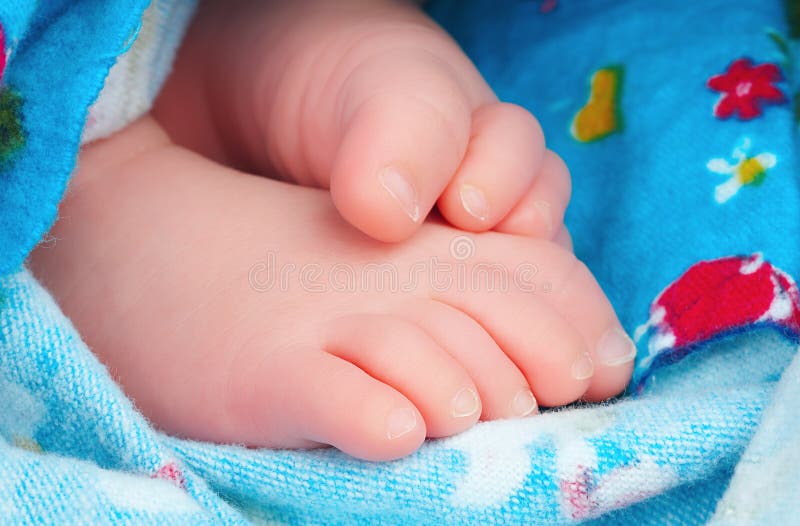 Baby feet stock image. Image of breastfeed, born, blue 3142167
