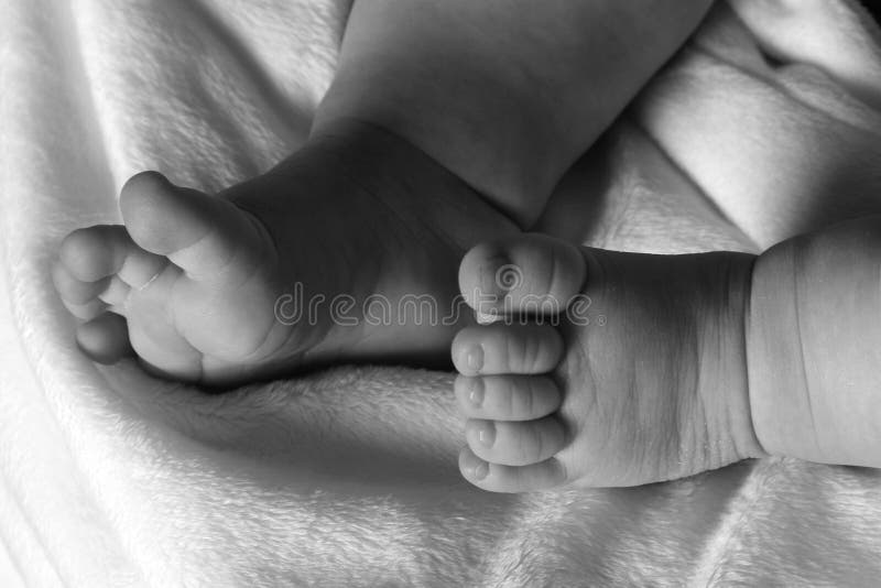 Baby Feet and Toes stock image. Image of white, soft, foot 3946321